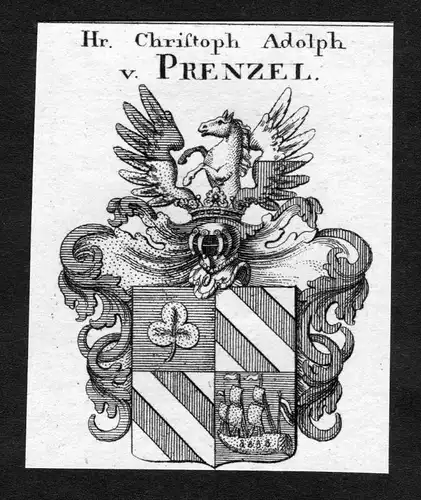 Prenzel - Prenzel Wappen Adel coat of arms heraldry Heraldik Kupferstich