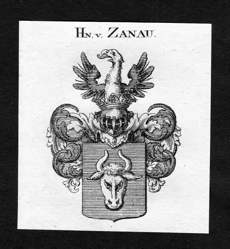 Zanau - Zanau Wappen Adel coat of arms heraldry Heraldik Kupferstich