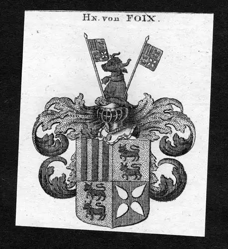 Foix -  Foix Wappen Adel coat of arms heraldry Heraldik Kupferstich