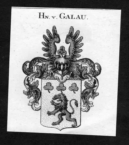 Galau -  Galau Wappen Adel coat of arms heraldry Heraldik Kupferstich