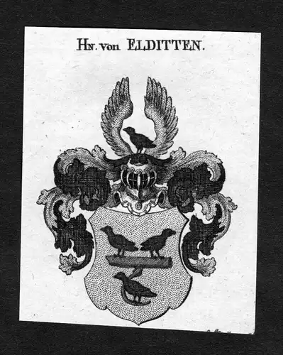 Elditten -  Elditten Wappen Adel coat of arms heraldry Heraldik Kupferstich