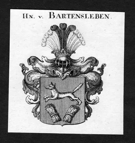 Bartensleben - Bartensleben Wappen Adel coat of arms heraldry Heraldik Kupferstich