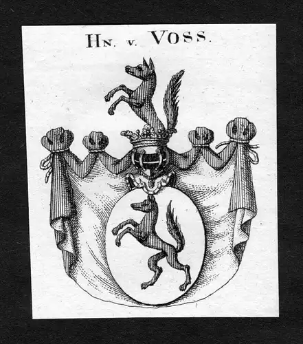 Voss -  Voss Wappen Adel coat of arms heraldry Heraldik Kupferstich