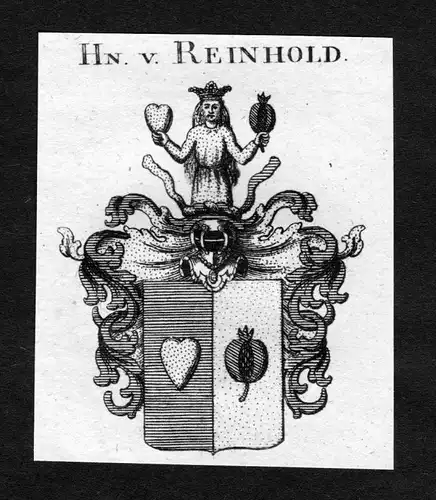 Reinhold -  Reinhold Wappen Adel coat of arms heraldry Heraldik Kupferstich
