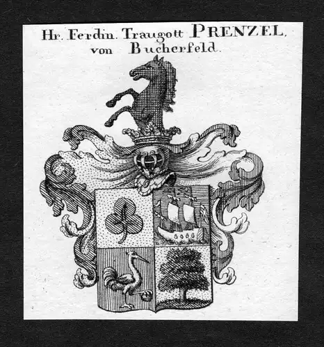 Prenzel von Bucherfeld - Prenzel von Bucherfeld Wappen Adel coat of arms heraldry Heraldik Kupferstich