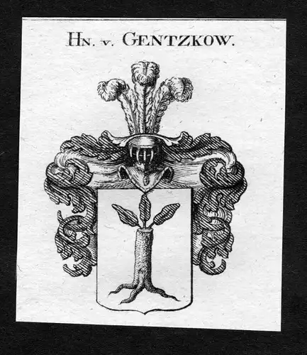 Gentzkow -  Gentzkow Wappen Adel coat of arms heraldry Heraldik Kupferstich