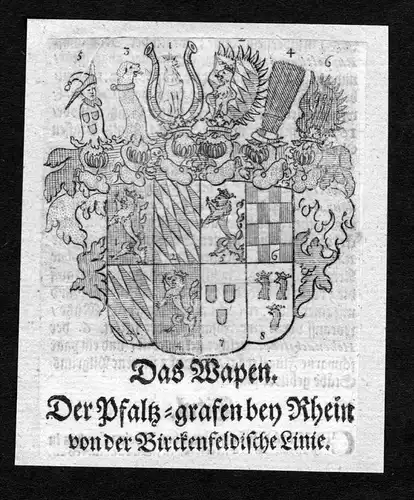 Pfalz-Grafen bey Rhein von der Birckenfeldischen Linie - Pfalz Rhein Birckenfeldischen Linie Wappen Adel coat