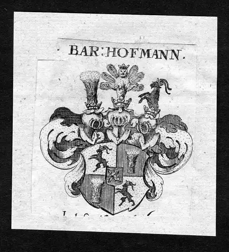 Hofmann - Hofmann Wappen Adel coat of arms heraldry Heraldik Kupferstich