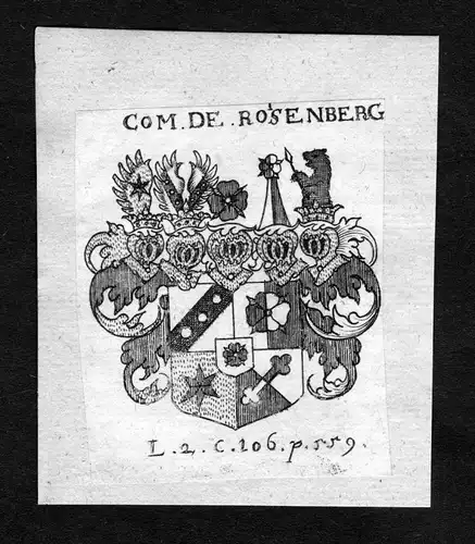 Rosenberg - Rosenberg Wappen Adel coat of arms heraldry Heraldik Kupferstich