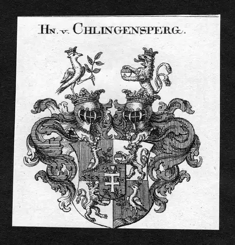 Chlingensperg - Chlingensperg Wappen Adel coat of arms heraldry Heraldik Kupferstich