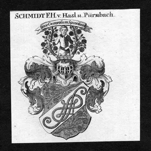 Schmidt von Hasl und Pürnbach - Schmidt von Hasl- und Pürnbach Wappen Adel coat of arms heraldry Heraldik Ku