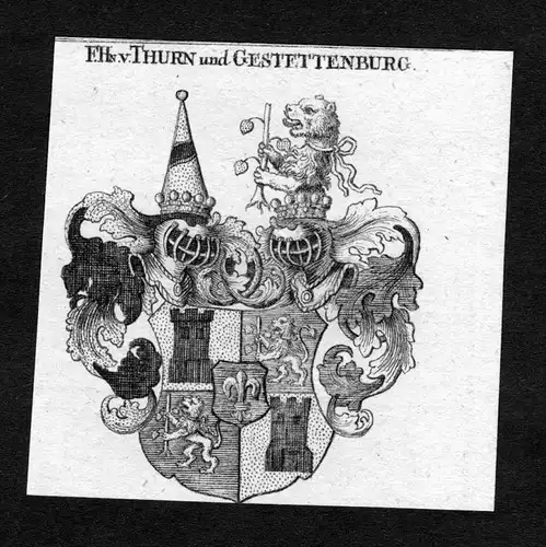 Thurn und Gestettenburg - Thurn und Gestettenburg Wappen Adel coat of arms heraldry Heraldik Kupferstich