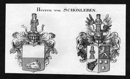 Schönleben - Schönleben Schoenleben Wappen Adel coat of arms heraldry Heraldik Kupferstich