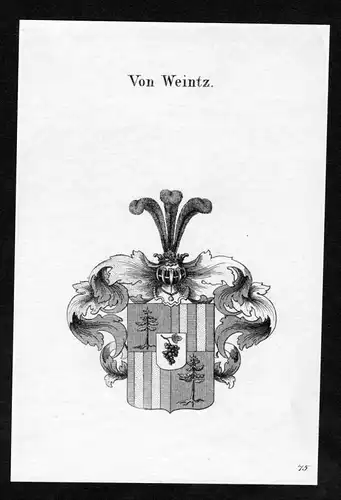 Von Weintz - Weintz Wappen Adel coat of arms heraldry Heraldik Kupferstich