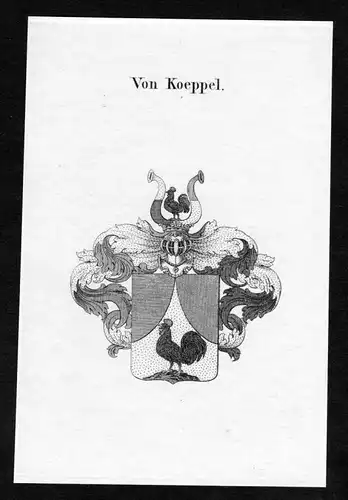Von Koeppel - Koeppel Köppel Wappen Adel coat of arms heraldry Heraldik Kupferstich
