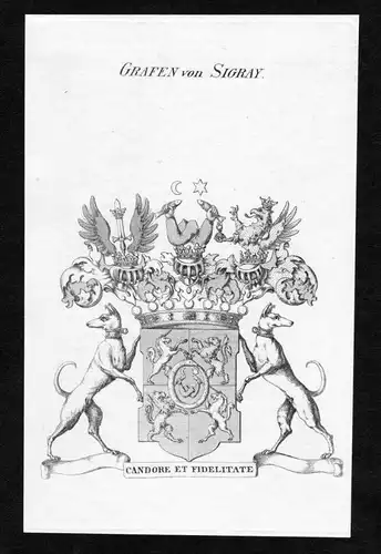 Grafen von Sigray - Sigray Wappen Adel coat of arms heraldry Heraldik Kupferstich