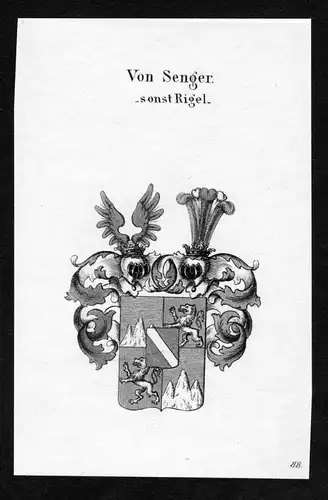 Von Senger - sonst Rigel - Senger und Etterlin Wappen Adel coat of arms heraldry Heraldik Kupferstich
