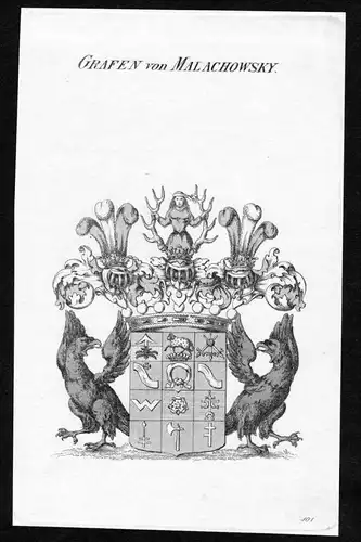Grafen von Malachowsky - Malachowski Wappen Adel coat of arms heraldry Heraldik Kupferstich