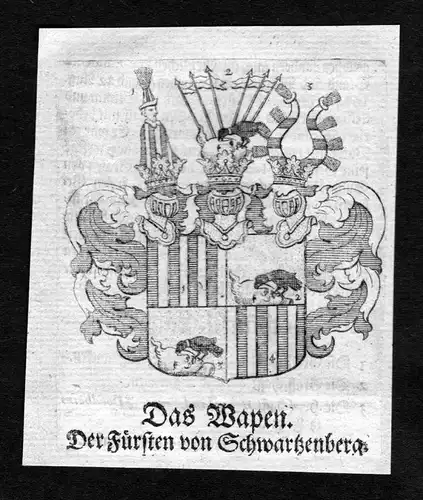 Das Wapen des Fürsten von Schwartzenberg - Schwartzenberg Wappen Adel coat of arms heraldry Heraldik Kupferst