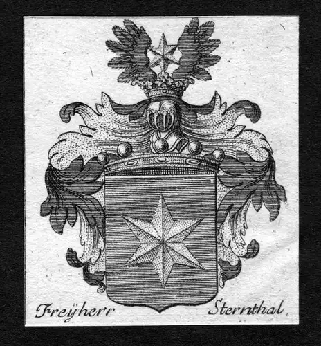 Freyherr Sternthal - Sternthal Wappen Adel coat of arms heraldry Heraldik Kupferstich