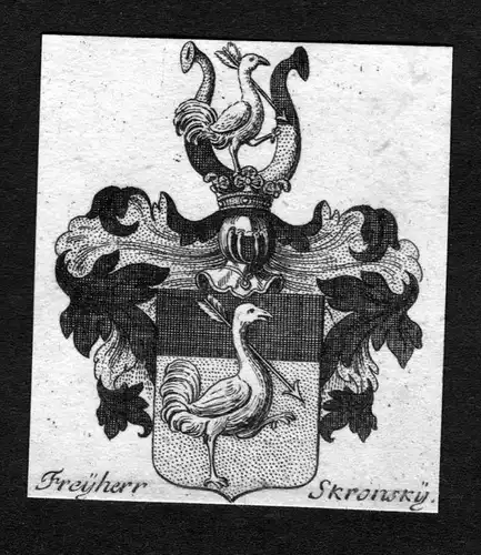 Freyherr Skronsky - Skronsky Skronski Wappen Adel coat of arms heraldry Heraldik Kupferstich