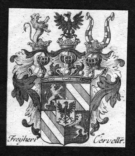 Freyherr Cervelli - Cervelli Wappen Adel coat of arms heraldry Heraldik Kupferstich