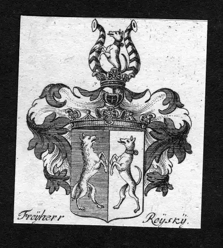 "Freyherr Reysky" - Reisky Rayski Reysgi Reiski Wappen Adel coat of arms heraldry Heraldik Kupferstich