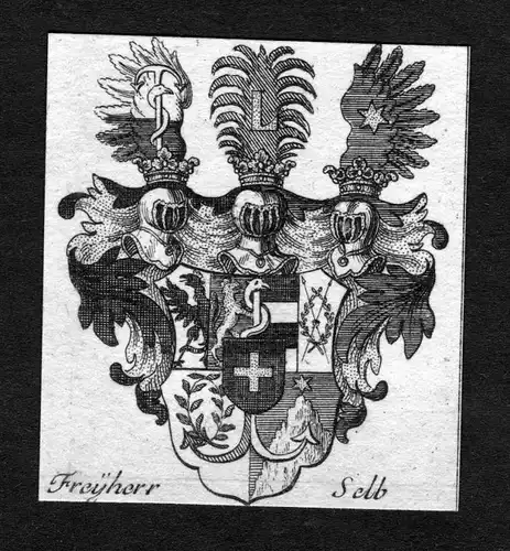 Freyherr Selb - Selb Wappen Adel coat of arms heraldry Heraldik Kupferstich