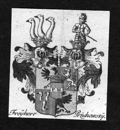 Freyherr Przichowsky - Przichowsky Wappen Adel coat of arms heraldry Heraldik Kupferstich