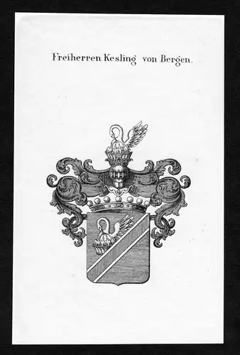 Freiherren Kesling von Bergen - Kesling von Bergen Wappen Adel coat of arms heraldry Heraldik Kupferstich