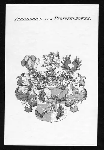 Freiherren von Pfeffershowen - Pfeffershowen Wappen Adel coat of arms heraldry Heraldik Kupferstich