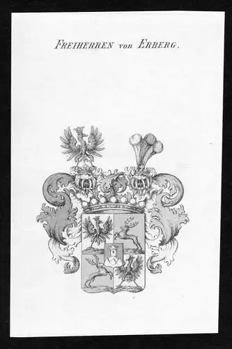 Freiherren von Erberg - Erberg Wappen Adel coat of arms heraldry Heraldik Kupferstich