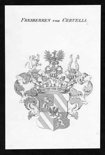Freiherren von Cervelli - Cervelli Wappen Adel coat of arms heraldry Heraldik Kupferstich