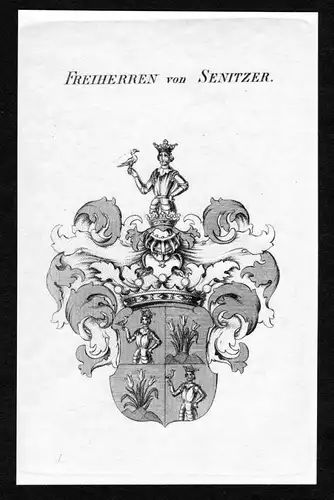 Freiherren von Senitzer - Senitzer Wappen Adel coat of arms heraldry Heraldik Kupferstich