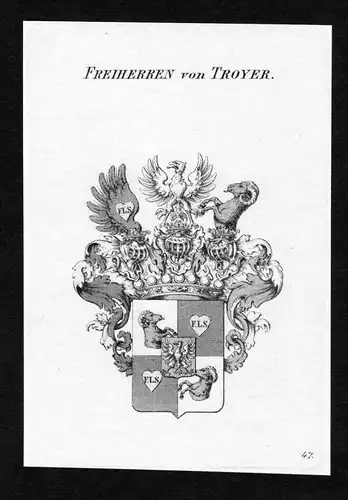 Freiherren von Troyer - Troyer Droyer Wappen Adel coat of arms heraldry Heraldik Kupferstich