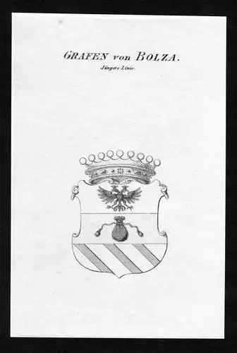 Grafen von Bolza - Jüngere Linie - Bolza Wappen Adel coat of arms heraldry Heraldik Kupferstich