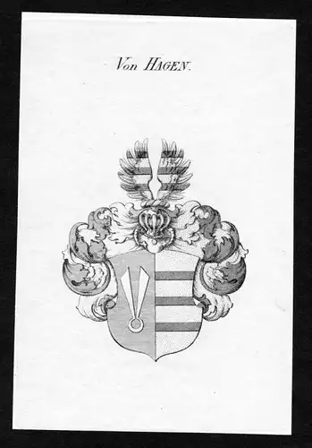 Von Hagen - Hagen Wappen Adel coat of arms heraldry Heraldik Kupferstich