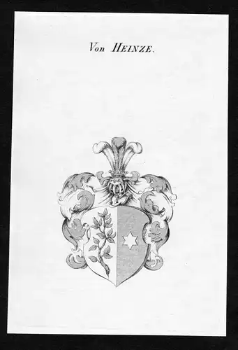 Von Heinze - Heinze Wappen Adel coat of arms heraldry Heraldik Kupferstich