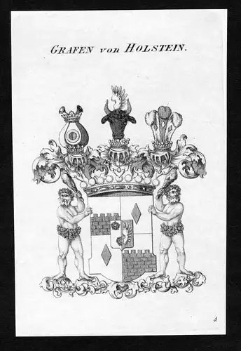 Grafen von Holstein - Holstein Wappen Adel coat of arms heraldry Heraldik Kupferstich