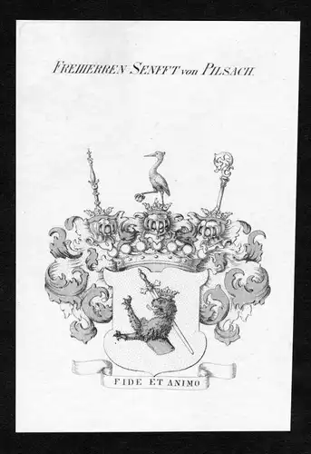Freiherren Senfft von Pilsach - Senfft von Pilsach Wappen Adel coat of arms heraldry Heraldik Kupferstich