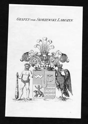 Grafen von Skorzewski-Labiszyn - Skorzewski-Labizyn Wappen Adel coat of arms heraldry Heraldik Kupferstich