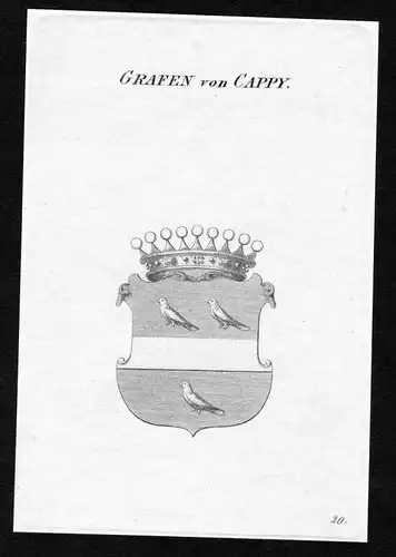 Grafen von Cappy - Cappy Wappen Adel coat of arms heraldry Heraldik Kupferstich