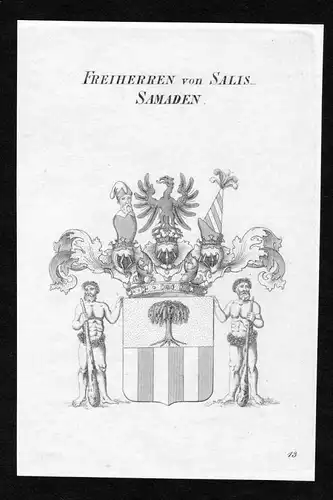 Freiherren von Salis-Samaden - Salis Salis-Samaden Wappen Adel coat of arms heraldry Heraldik Kupferstich