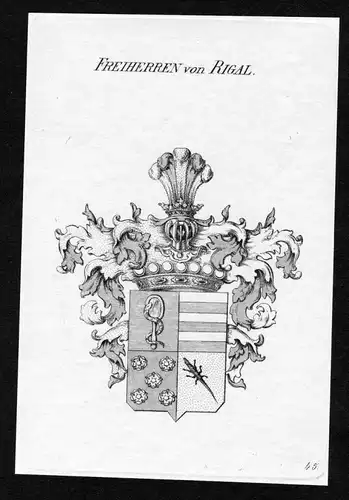Freiherren von Rigal - Rigal Wappen Adel coat of arms heraldry Heraldik Kupferstich