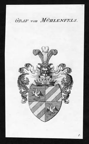 Graf von Mühlenfels - Mühlenfels Muehlenfels Wappen Adel coat of arms heraldry Heraldik Kupferstich