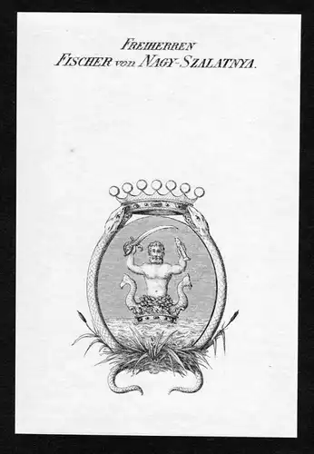 Freiherren Fischer von Nagy-Szalatnya - Fischer Nagy Szalatnya  Wappen Adel coat of arms heraldry Heraldik Kup
