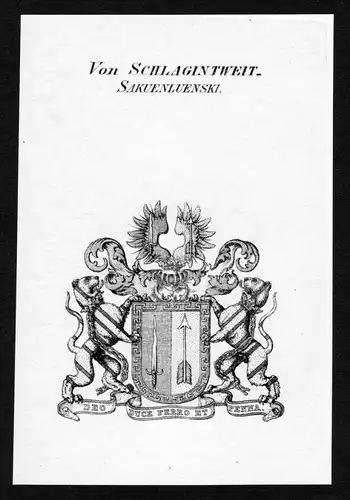 Von Schlagintweit-Sakuenluenski - Schlagintweit-Sakünlünski Wappen Adel coat of arms heraldry Heraldik Kupfe