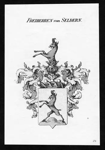 Freiherren von Seldern - Seldern Wappen Adel coat of arms heraldry Heraldik Kupferstich