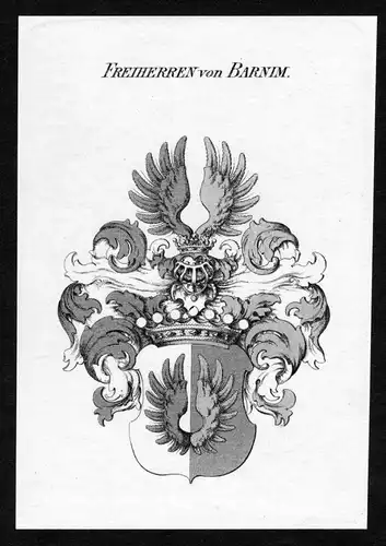 Freiherren von Barnim - Barnim Wappen Adel coat of arms heraldry Heraldik Kupferstich