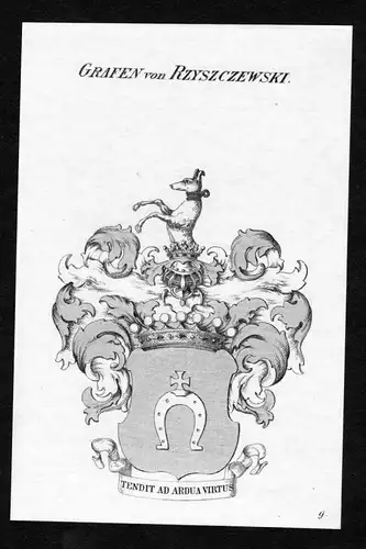 Grafen von Rzyszczewski - Rzyszczewski Wappen Adel coat of arms heraldry Heraldik Kupferstich